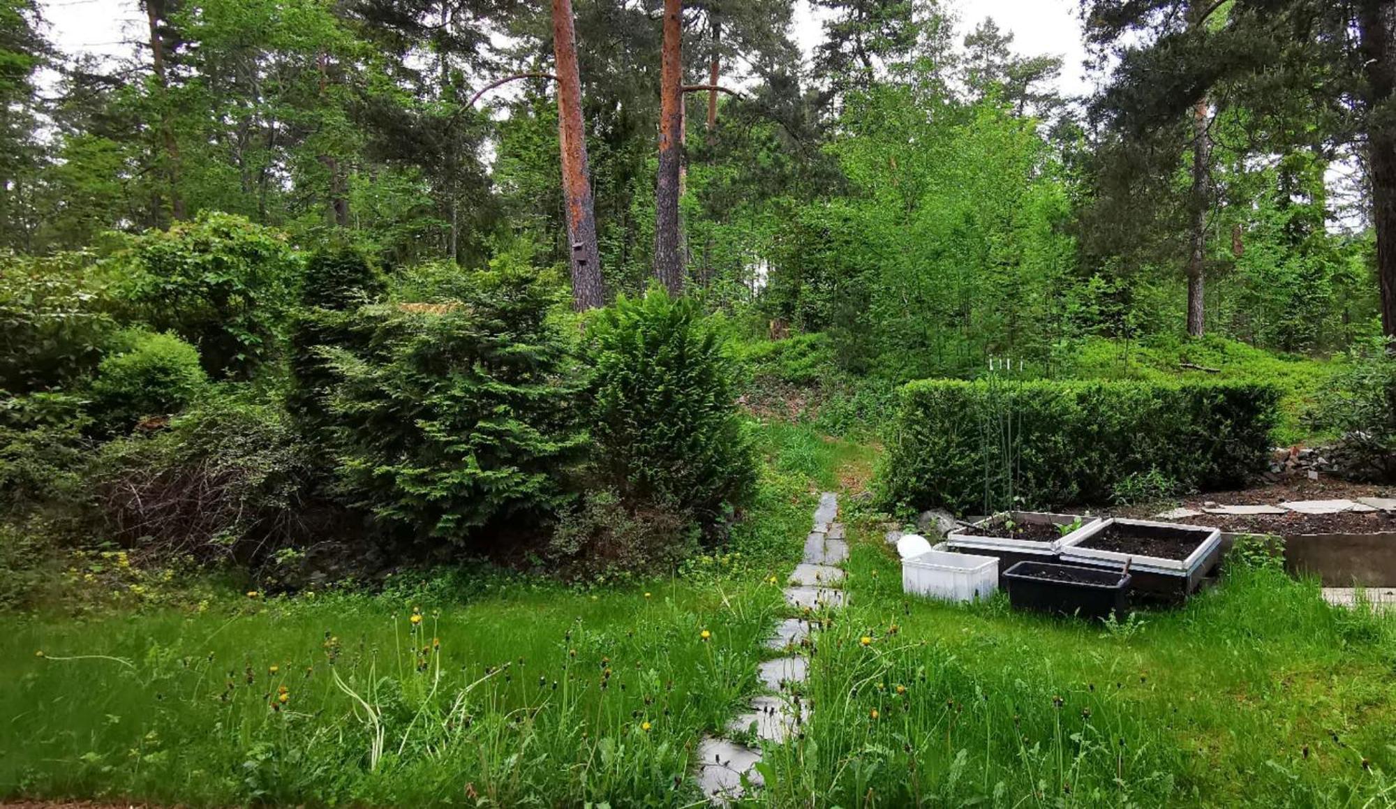 Holmenkollen Forest House Free Parking Leilighet *
