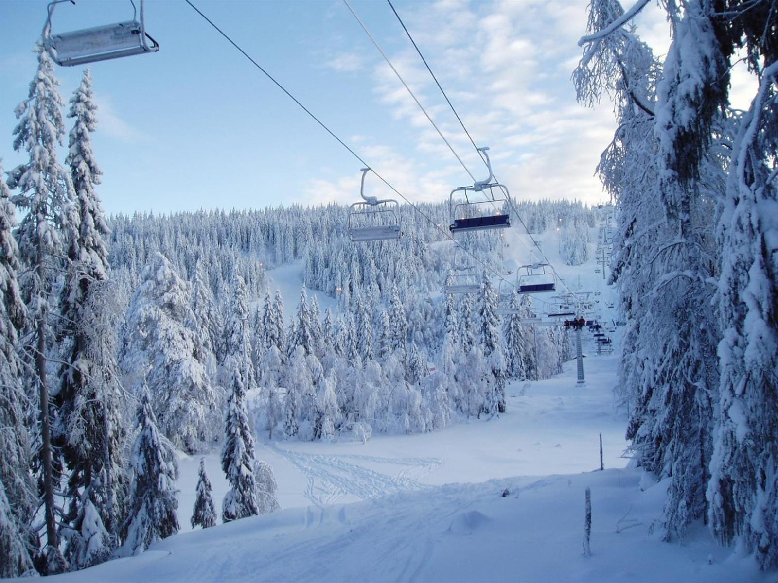 Leilighet Holmenkollen Forest House Free Parking